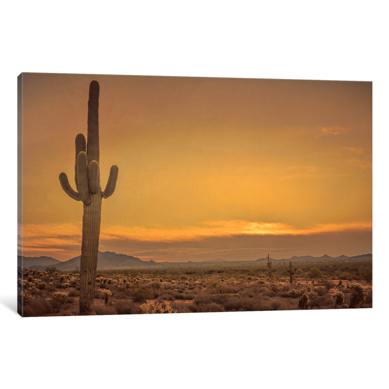 «Cactus Sunrise», reproduction de photo sur toile, H 12 po x l 18 po x P 1,5 po, Toile tendue, Pas de tapis