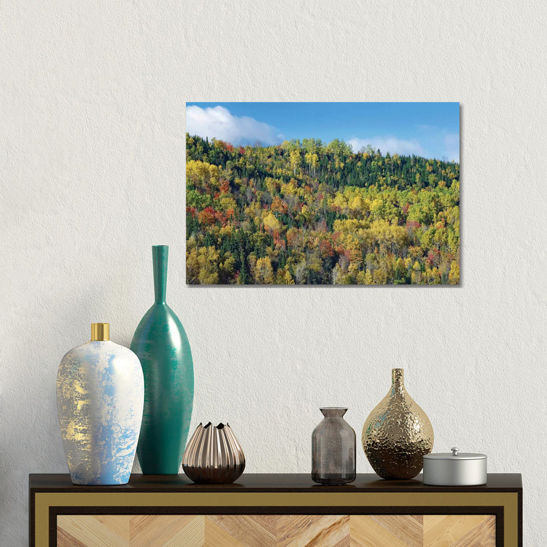 Herbstfarben, Chic-Chocs, Quebec, Kanada von Tim Fitzharris - Giclée auf Leinwand ohne Rahmen