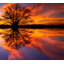 «Balance», reproduction de photo sur verre