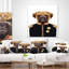 Coussin décoratif boxer animal-30745517-30745521