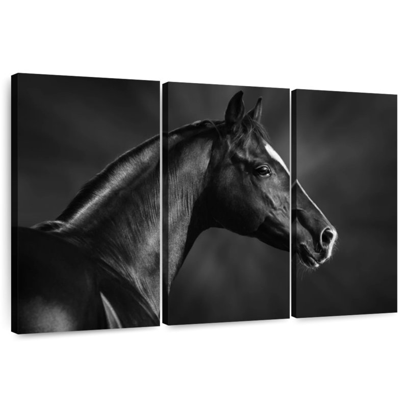 Cheval arabe Brampt noir, H 20 po x l 33 po