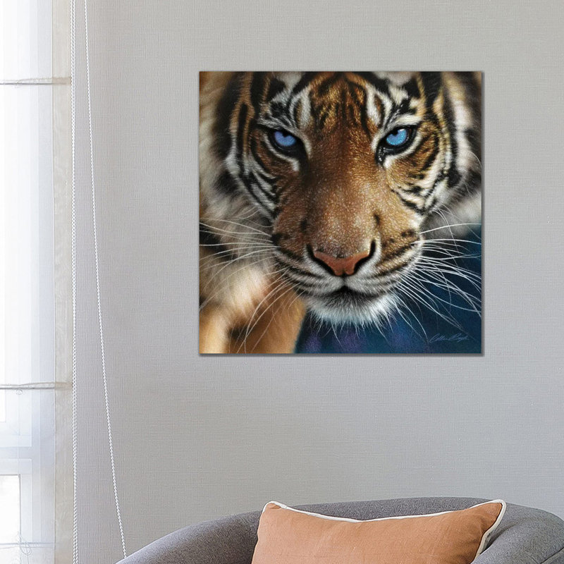 Tiger - Blue Eyes by Collin Bogle - Print on Canvas, Wrapped Canvas, 93.98 cm H x 93.98 cm W x 3.175 cm D