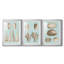 Sépia et coquillages aqua VI - reproduction encadrée sur mesure de qualité supérieure mate - 3 pièces-1020866994-1020866999