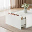 Table basse de style transitionnel 1pc-133599113