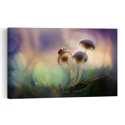 Coccinelle sur champignons - Affiche murale délicate, onirique et fantaisiste représentant une coccinelle dans une forêt de mousse.