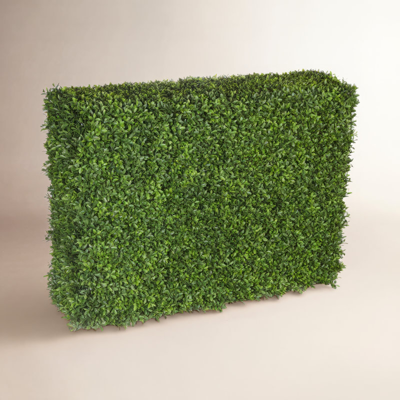 Boxwood Hedge, 28" H x 12" W x 39" D