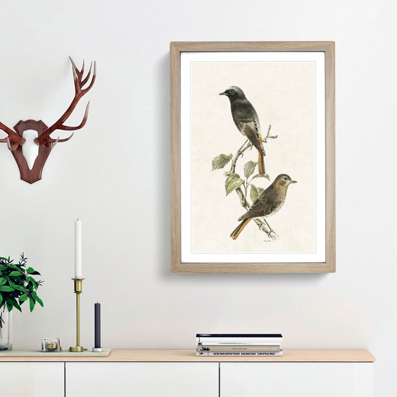 European Black Redstart by Von Wright - Picture Frame Painting Print, 36cm H x 27cm W x 2cm D, Oak Framed