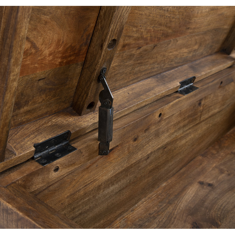 Zoe Storage Trunk