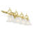 Christiansburg 4 - Light Dimmable Vanity Light-22508590