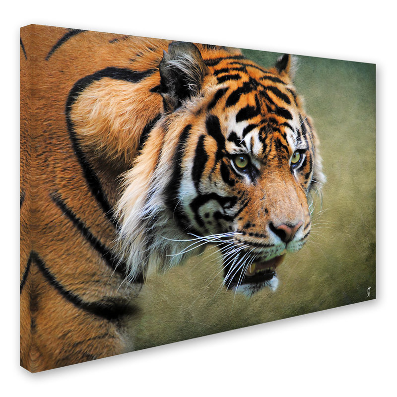 «On the Prowl Bengal Tiger», impression sur toile tendue Vidur, H 35 po x l 47 po