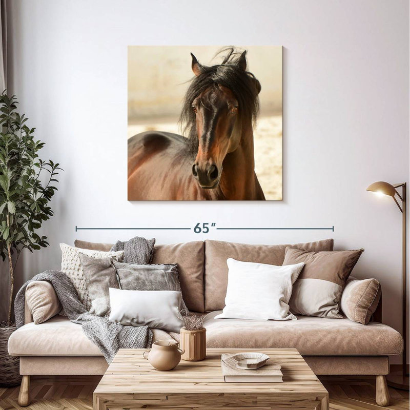 Brampt Brown Casanova, 39" H x 39" W