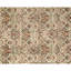 Hand Knotted Area Rug in Ivory