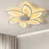 Chantily Ceiling Fan with LED Lights