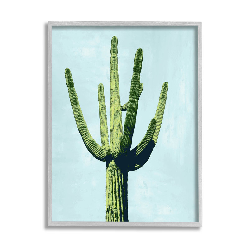 Cactus imitant le ciel turquoise par Mia Jensen, H 20 po x l 16 po x P 1,5 po, Estampe numérique Farmhouse