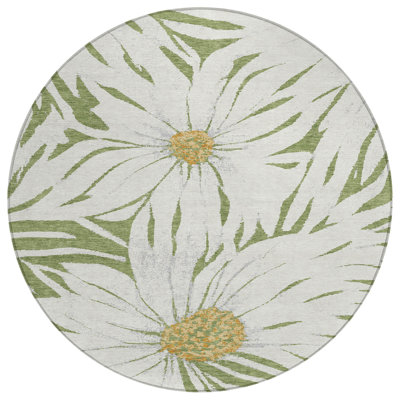 Machine Washable Indoor/Outdoor Oliveras ACN2263 Floral Rug