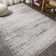 Downham Filigree Medallion Light Gray/Cream Rug