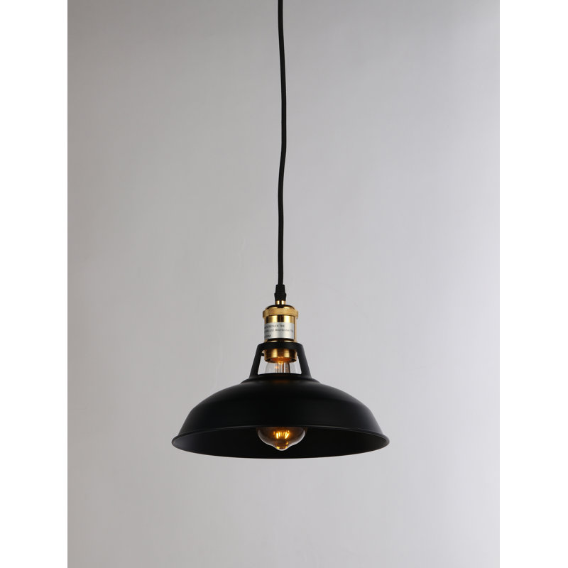 Luminaire suspendu pour dôme simple 1 lumières Brantner, Noir