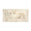 Art sur toile, libellules bolognaises Cheri Blum-105718674