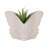 Ceramic Stoneware Planter with Embossed Butterfly Design and Sculpted Wings for Decorative Display-1258849314