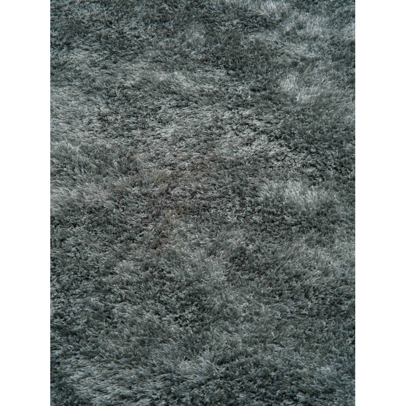 Tapis à poil long en polyester touffeté à la main Aimantas, Rectangle 6 pi x 9 pi, Gris anthracite