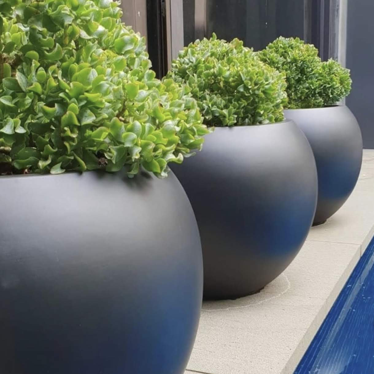Dorlis Fiberstone Pot Planter, Black, 10" H x 13" W x 13" D