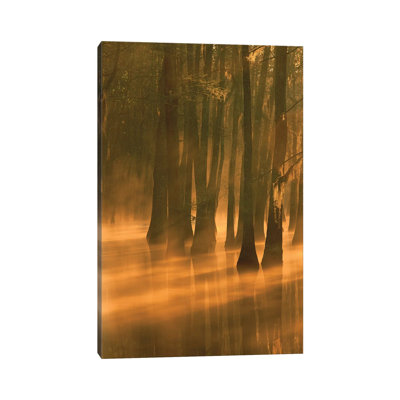 Bald Cypress Swamp, Calcasieu River Backwater 1 Piece Wrapped Canvas Wall Art