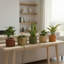 Pot rond Strata-1855907670-1855907668