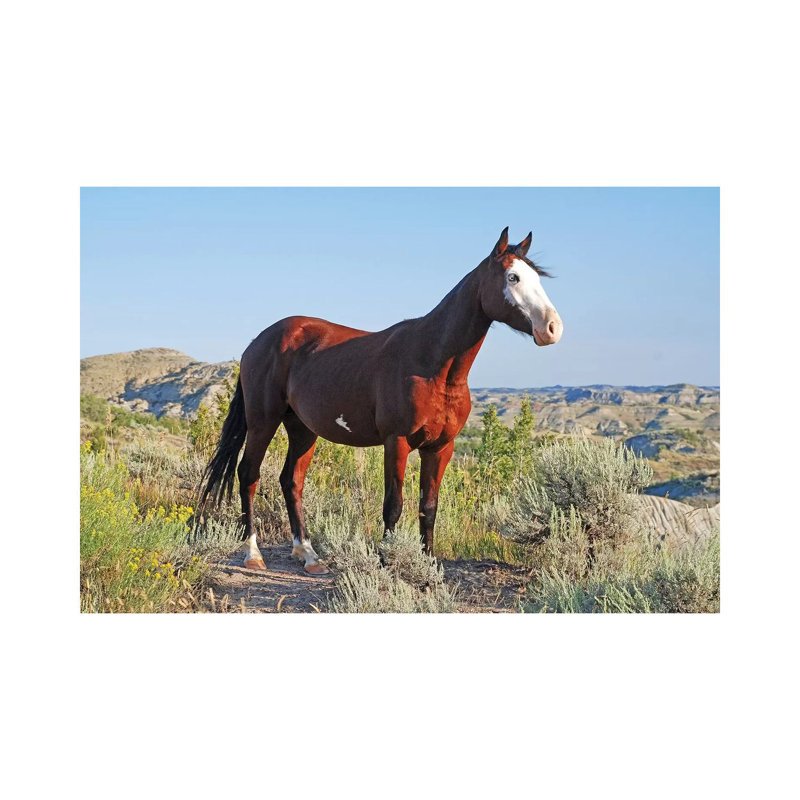 Blue Eye 1 Piece Wrapped Canvas Wall Art, 30.48 cm H x 45.72 cm W