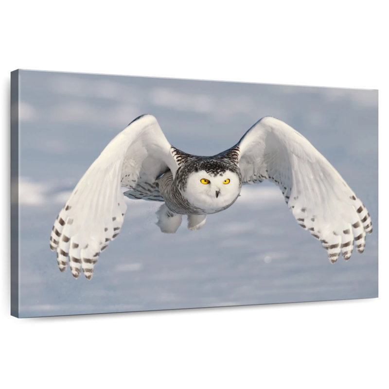 Brampt Owl In Winter, 26" H x 39" W