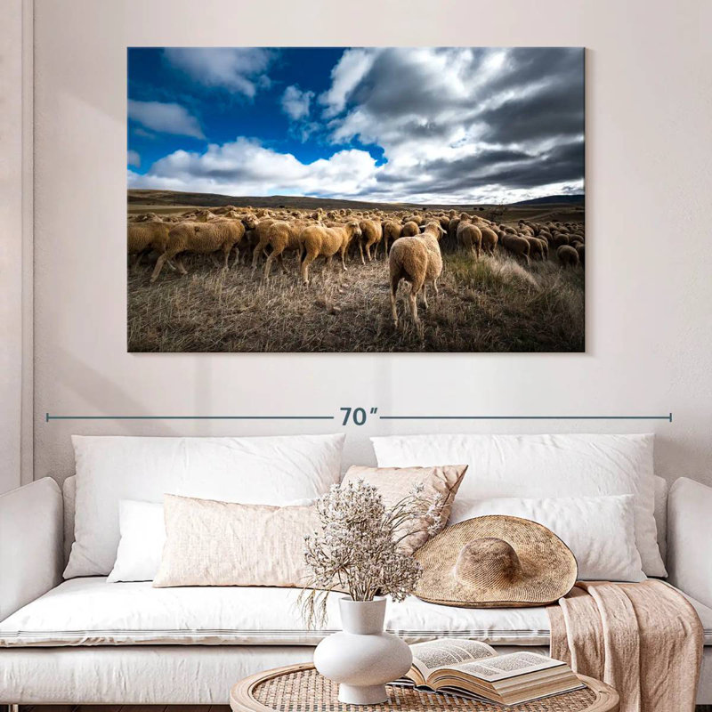 Brampt Soria Sheep Flock