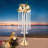 Backdrops & Signs-97914751