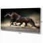 Animaux, chevaux, galop dans le désert, impression-35111693-29495978