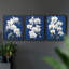 Floral Study Series LVI -Set de 3 estampes numériques giclées -Prêt à accrocher-107268362-107268366