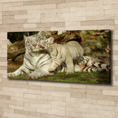 Tigers - Wrapped Canvas Print