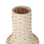 Bambou d'Afrique-203546504-203546507