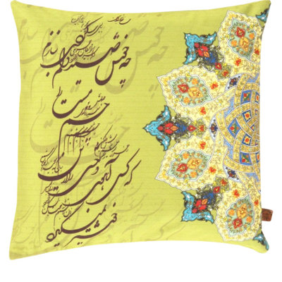 Coussin décoratif en velours Pasargad 16 po x 16 po
