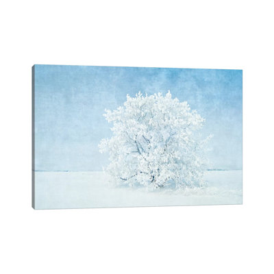Canada, Manitoba. Snow-Covered Tree by Jaynes Gallery - Wrapped Canvas Print
