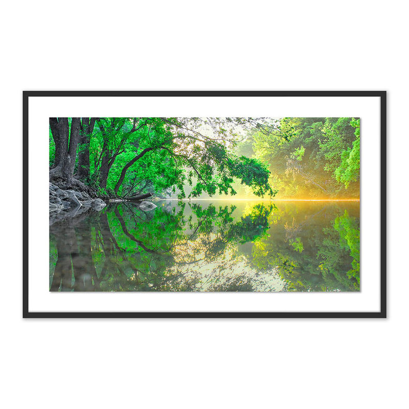 Trees Get Thirsty Too Print by Shawn Thomas, Black, 30" H x 48" W x 2.5" D