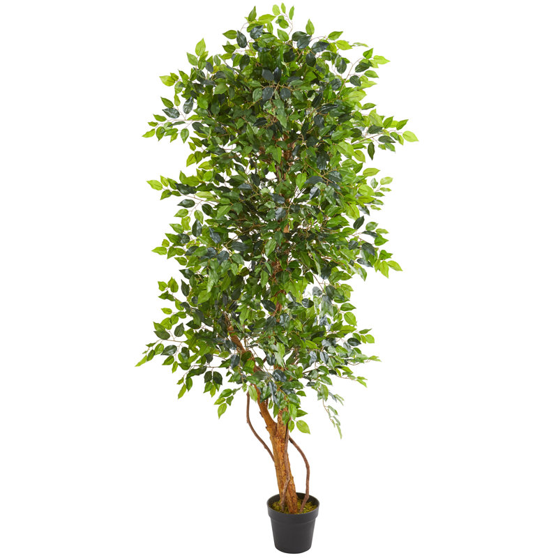 72'' Faux Ficus Tree in Planter