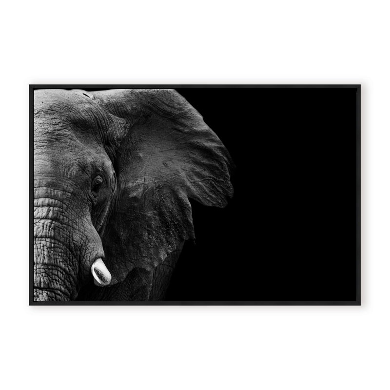Nature Inspired Elephant by  - Picture Frame Photograph on Paper, 16" H x 24" W x 1.125" D, Brown, Framed Print