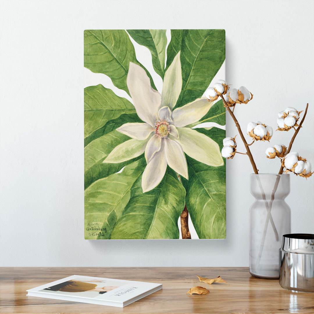 Umbrella Tree by Mary Vaux Walcott - Wrapped Canvas