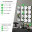 LeChee Statement Square Grid Wall Mirror-340314476
