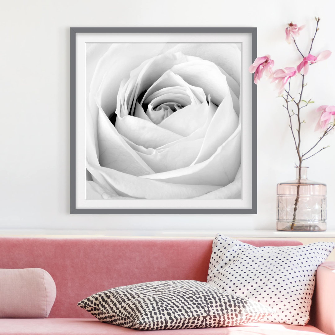 Gerahmtes Papierbild Rose Nahaufnahme