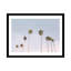 Photographie « california trees »-43719361-43719362