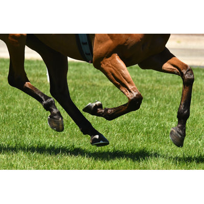 Horse Racing Action by Quentinjlang - Wrapped Canvas Print