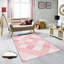 Tapis tissé antibactérien (impression numérique 3D) 4,0 x 5,9 pieds, 100% polyester, hauteur du velours: 0,3 pouce | Dessous en PVC feutre antidérapant, lavable à la machine, parfait pour le salon et la chambre à coucher-1720019958