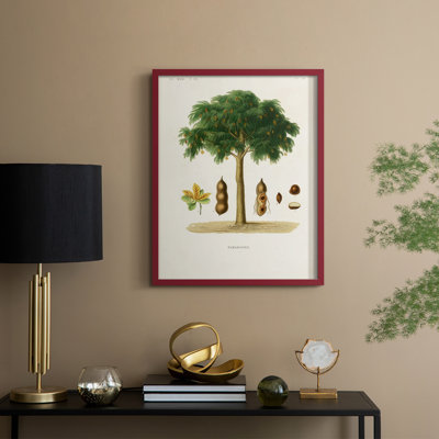 Arbre antique avec fruit, impression encadrée en bois massif