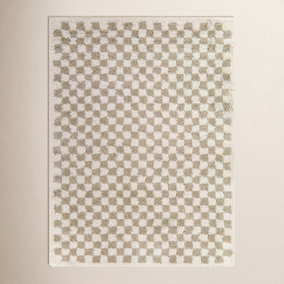Walker Beige Checkered Shag Rug