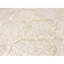 Himalayan Cotton Geometric Area Rug in Beige