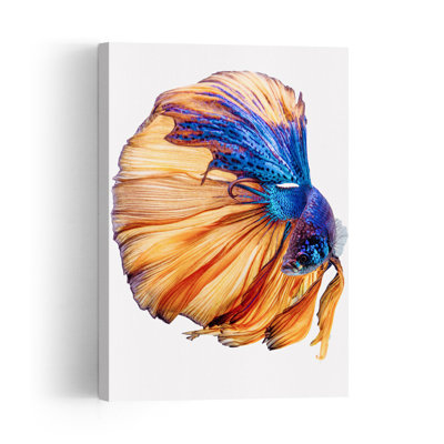 Vibrant Betta Fish Flow Colorful Elegant Vibrant Fish Nature Tropical Wall Art Print by Andi Halil - Print